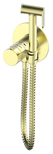 Гигиенический душ Oliveeka OL-829909-BG