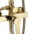 Душевая система Rea Argus gold P7840 Душевая система Rea Argus gold P7840