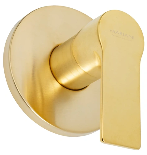 Смеситель для душа Mariani Kali B22179KL, золото брашированное