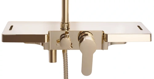 Душевая система Rea Bravo gold P4120