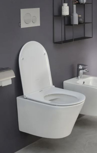 Унитаз подвесной Jacob Delafon Rodin EDY102-00