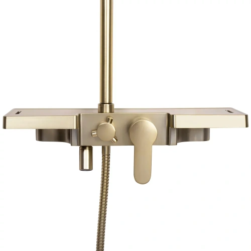Душевая система Rea Bravo gold matt P4121