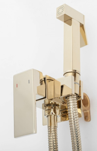 Гигиенический душ Rea Fenix Gold B5771