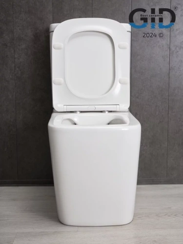 Унитаз напольный Gid Tn2180