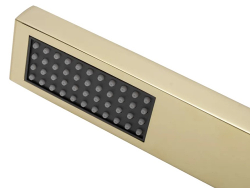 Душевая система Rea Fenix Gold P8401