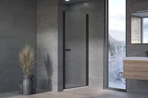 Душевая дверь Kolpa-San Andromeda N 100 black transparent 516770