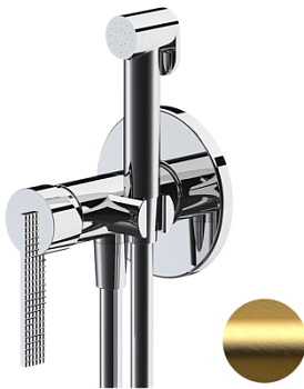 Гигиенический душ Daniel Club ANC645BP4DCDP, золото брашированное