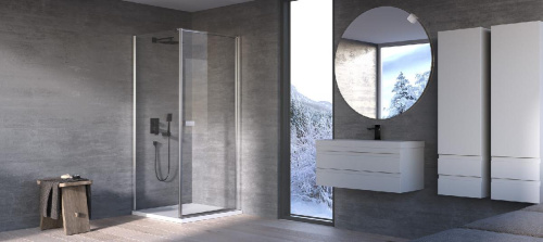 Душевая дверь Kolpa-San Andromeda D 80 silver brill transparent 516510