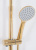 Душевая система Rea Aldi Gold P8802