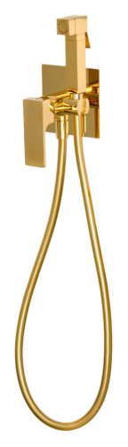 Гигиенический душ Remer Absolute AU65DO, золото глянцевое