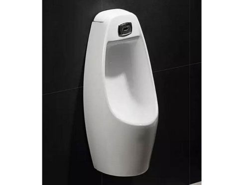 Писсуар CeramaLux X546P