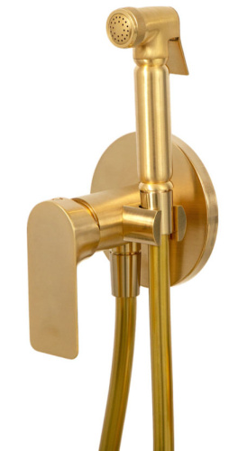 Гигиенический душ Remer Infinity I65BG, золото брашированное