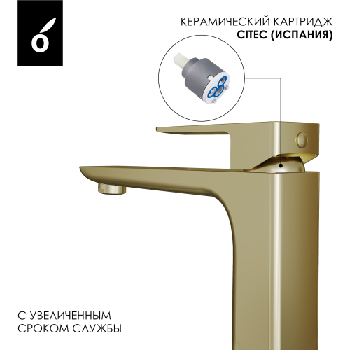 Гигиенический душ со смесителем Oliveeka OL-829003+239003-BG, золотой матовый