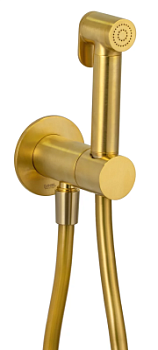 Гигиенический душ Daniel Tokyo TX647P4DCDP, золото брашированное