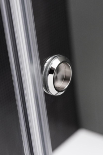 Душевая дверь Kolpa-San Dorsa TV2D/S 120 silver brill transparent 513950