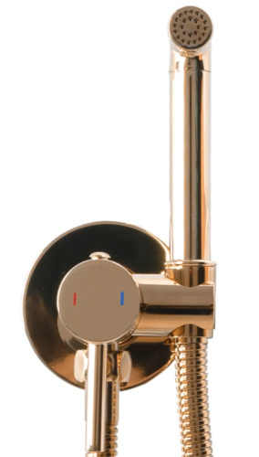 Гигиенический душ Rea Lungo Loop rose gold B6523