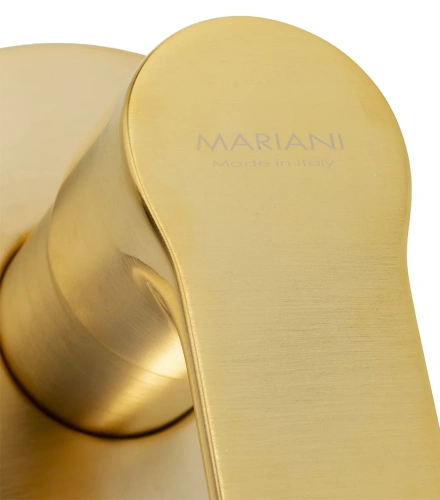 Смеситель для душа Mariani Kali B22179KL, золото брашированное