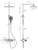 Душевая система Vincea VSFS-411GM