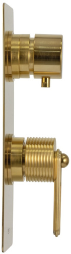 Смеситель для душа Daniel Brooklyn BY612D2KBDP