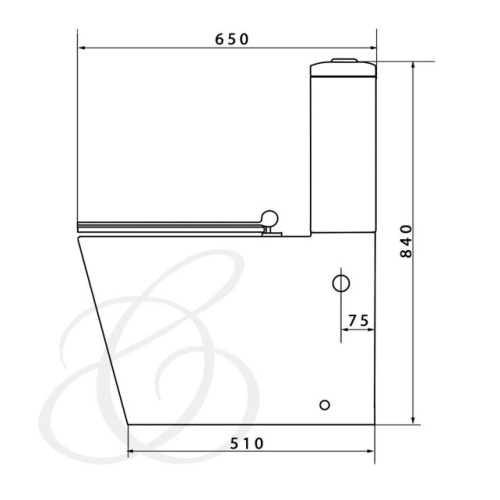 Унитаз напольный Caprigo Style S-1213