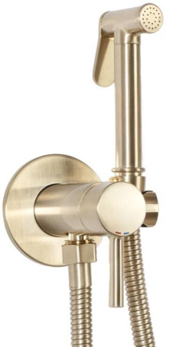 Гигиенический душ Rea Lungo Loop gold matt B6311