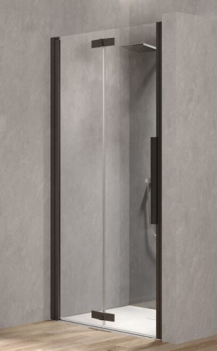 Душевая дверь Kolpa-San Polaris Fold N 80-L black transparent 516390