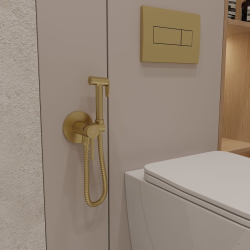 Гигиенический душ Oliveeka OL-829902-BG