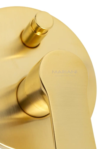 Смеситель для душа Mariani Kali B22173KL, золото брашированное