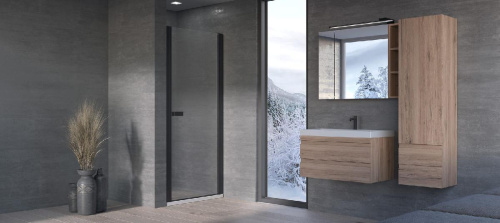 Душевая дверь Kolpa-San Andromeda N 100 black transparent 516770