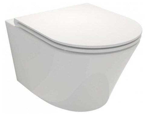 Унитаз подвесной Jacob Delafon Rodin EDY102-00