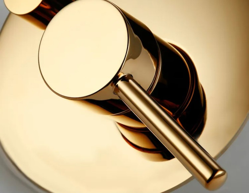 Душевая система Rea Lungo Gold P4110