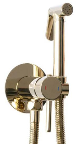 Гигиенический душ Rea Lungo Loop gold B8979