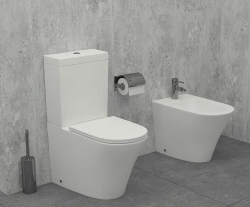 Унитаз напольный Jacob Delafon Rodin UJAB102-00