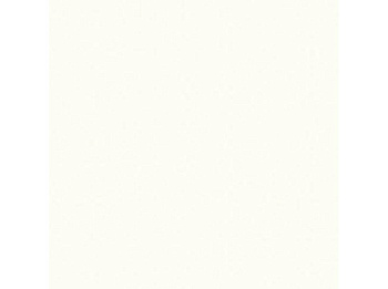 Столешница из постформинга 800*485 (белый) толщина 38мм