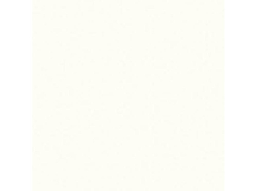 Столешница из постформинга 600*485 (белый) толщина 38мм Столешница из постформинга 600*485 (белый) толщина 38мм