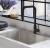 Смеситель для кухни Alveus BLOOM-PS BLACK MATT 1151102