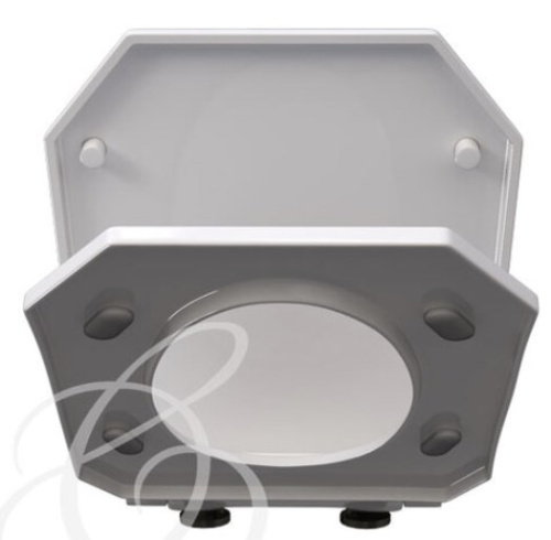 Сиденье для унитаза Caprigo Tempo G-007